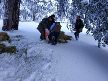 Kütahya’Da Yaban Hayvanları İçin Doğaya Yem Bırakıldı
