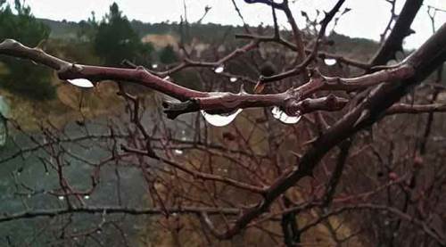 Kütahya'da yağmur sonrası görsel şölen!
