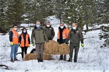 Kütahya’Da Yılkı Atlarına Yem Desteği
