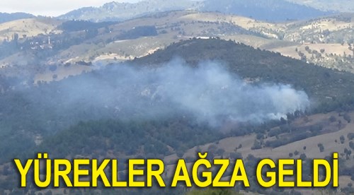 Kütahya'da yürekler ağza geldi!