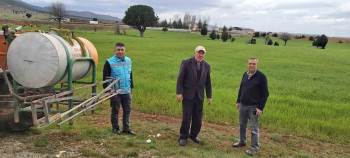 Kütahya’Da Zabrus Zararlısı İle Zirai Mücadele Çalışmaları
