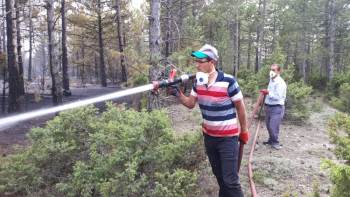 Kütahya’Daki Orman Yangınında 50 Hektarlık Alan Zarar Gördü
