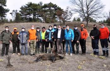 Kütahya’Daki Sürek Avında 16 Yabani Domuz Vuruldu
