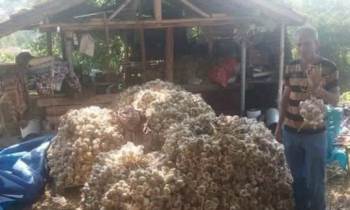 Kütahya’Dan Osmanlı Saraylarına Giden Şifa Kaynağı
