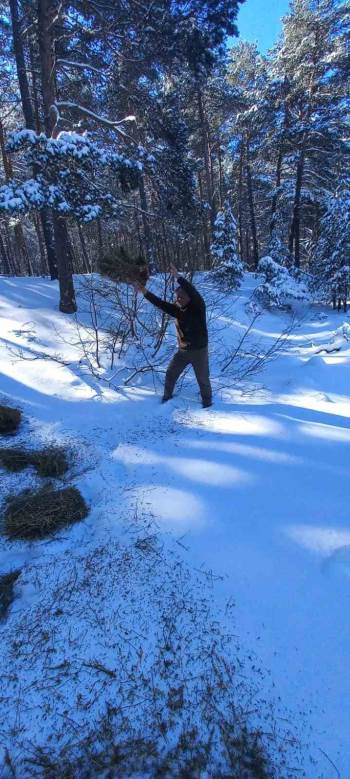 Kütahya Dkmp’Den Yaban Hayvanları İçin Yemleme Çalışması
