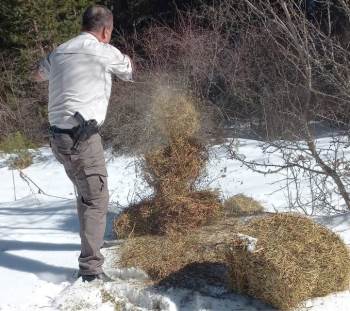 Kütahya Dkmp’Den Yaban Hayvanlarını Yemleme Çalışması
