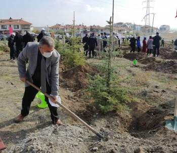 Kütahya İl Genelinde 241 Bin 300 Fidan Toprakla Buluştu
