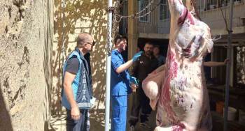 Kütahya İl Tarım Ve Orman Müdürlüğünce 261 Saha Denetimi Yapıldı
