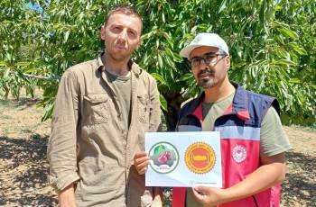 Kütahya Kirazının Tescil Çalışmaları İçin Numune Alımı
