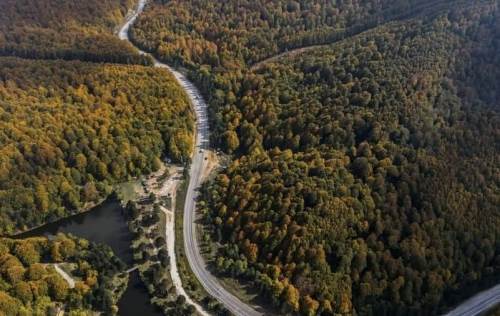 Kütahya'nın ormanları, sonbahar ile renklendi: