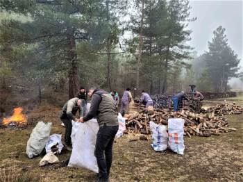Kütahya Obm Deprem Bölgesine Bin 625 Ton Yakacak Odun Gönderdi
