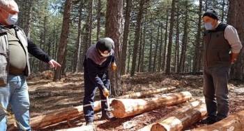 Kütahya Orman Bölge Müdürlüğünde ’Barkod’ Uygulaması

