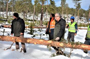 Kütahya Ormanlarında Silvikültür Çalışması
