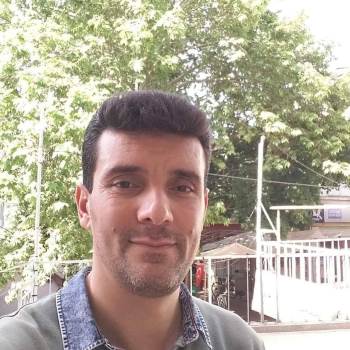 Kütahya Şaphane’De Otomobil Tilkiye Çarptı: 1 Ölü
