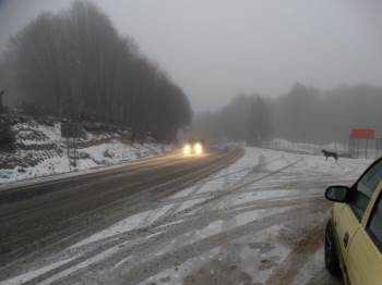 Kütahya'ya mevsimin ilk karı yağdı!