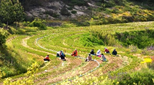 Kütahya’ya yeni bir orman fidanlığı daha