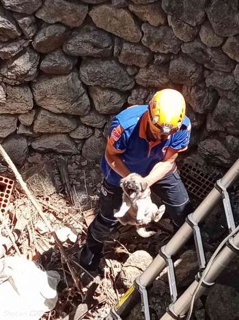 Kuyuda Mahsur Kalan Yavru Köpek İçin Afad Seferber Oldu
