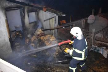 Kuzular Diri Diri Yanmaktan Son Anda Kurtarıldı
