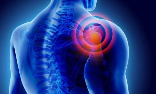 Labrum Nedir? Labrum Yırtığı Nedir? Tedavisi ve Belirtileri