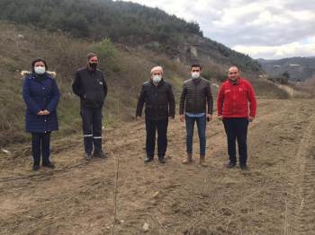 Lavanta Dikimi Ve Karavan Turizmi İçin Çalışmalara Başlandı
