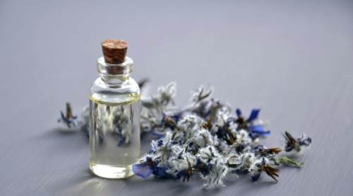 Lavanta Yağı Çocuklara Zararlı Mı? Kullanım Alanları, Riskleri ve Güvenli Kullanım Rehberi