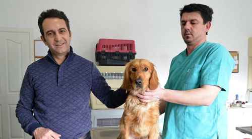 Lisa artık emin ellerde
