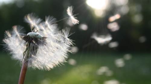 Lodos çarpması nedir?