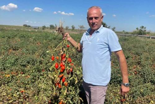 Londra’dan Karacabey’e uzanan bereketli yatırım