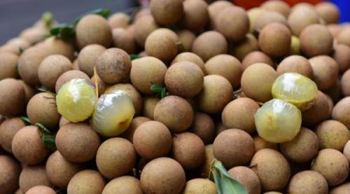 Longan Meyvesi Nasıl Yenir? Adım Adım Rehber, Saklama İpuçları ve Lezzet Önerileri