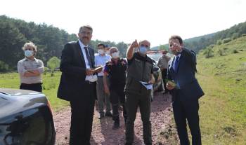 Lütfiye Köyüne Bal Ormanı
