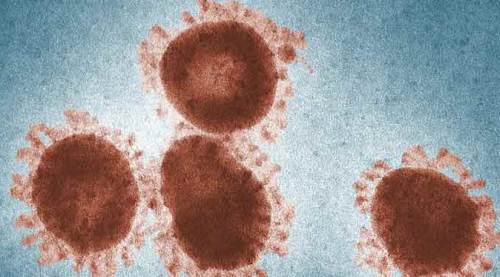 Mahalle muhtarı koronavirüse yenik düştü