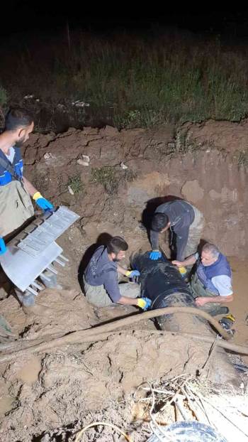 Mahalle Sakinleri Suya Kavuştu
