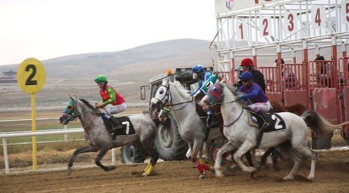Mahmudiye'de at yarışları final yaptı