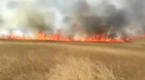 Mahmudiye'de korkutan yangın
