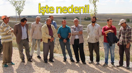 Mahmudiye'de köylüler isyan etti!
