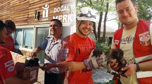 Mahsur kalan köpekleri AKUT kurtardı