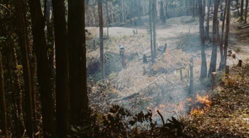 Makiler Daha mı Çabuk Yanar? Doğru Bilgiler ve Yanlış Anlayışlar