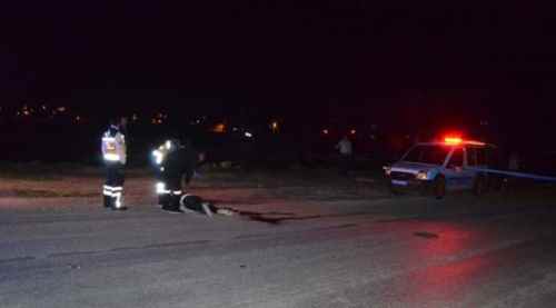 Manisa'da vahşet, boğazını kesip attılar!