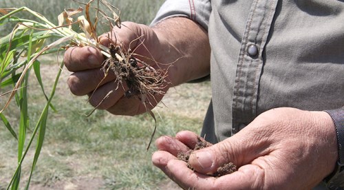 Manisaspor deplasman için uçak parası bulamadı