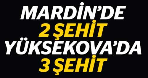 MARDİN VE NUSAYBİN'DE 5 ŞEHİT