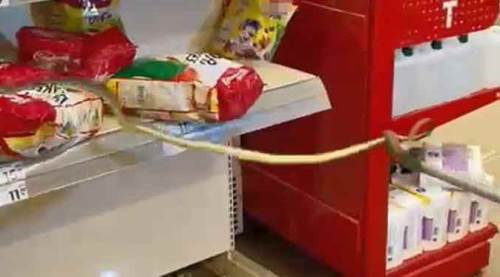 Markette rafların arasında şok eden görüntü!