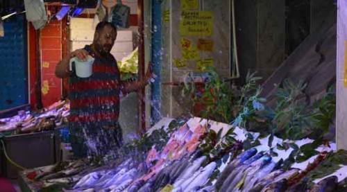Marmara'daki müsilaj, Eskişehir'i de vurdu!