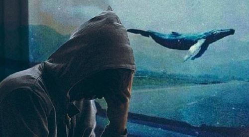 Mavi Balina oyunu nedir, nasıl oynanır?