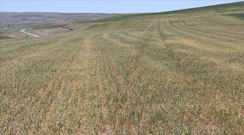 Mayıs'ta korkulan oldu! Eskişehir de artık o iller arasında...