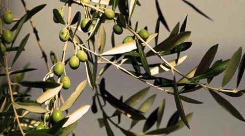 Meclis'te kabul edilen yasa Eskişehir'i de tehlikeye soktu!