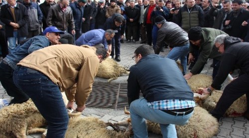 Mehmetçik için kurbanlar kesildi