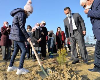 Mercan Hatıra Ormanı Oluşturuldu
