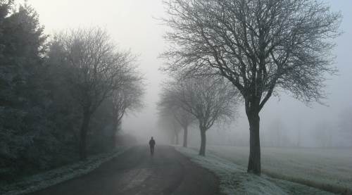 Meteoroloji uyardı: Eskişehir'de sis etkili olacak!