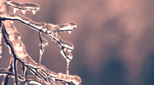 Meteoroloji uyardı: Eskişehir’de sis ve buzlanmaya dikkat!