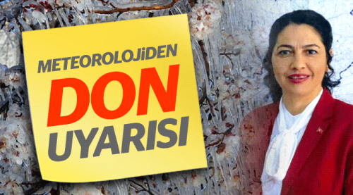 Meteoroloji uyardı, zirai don!